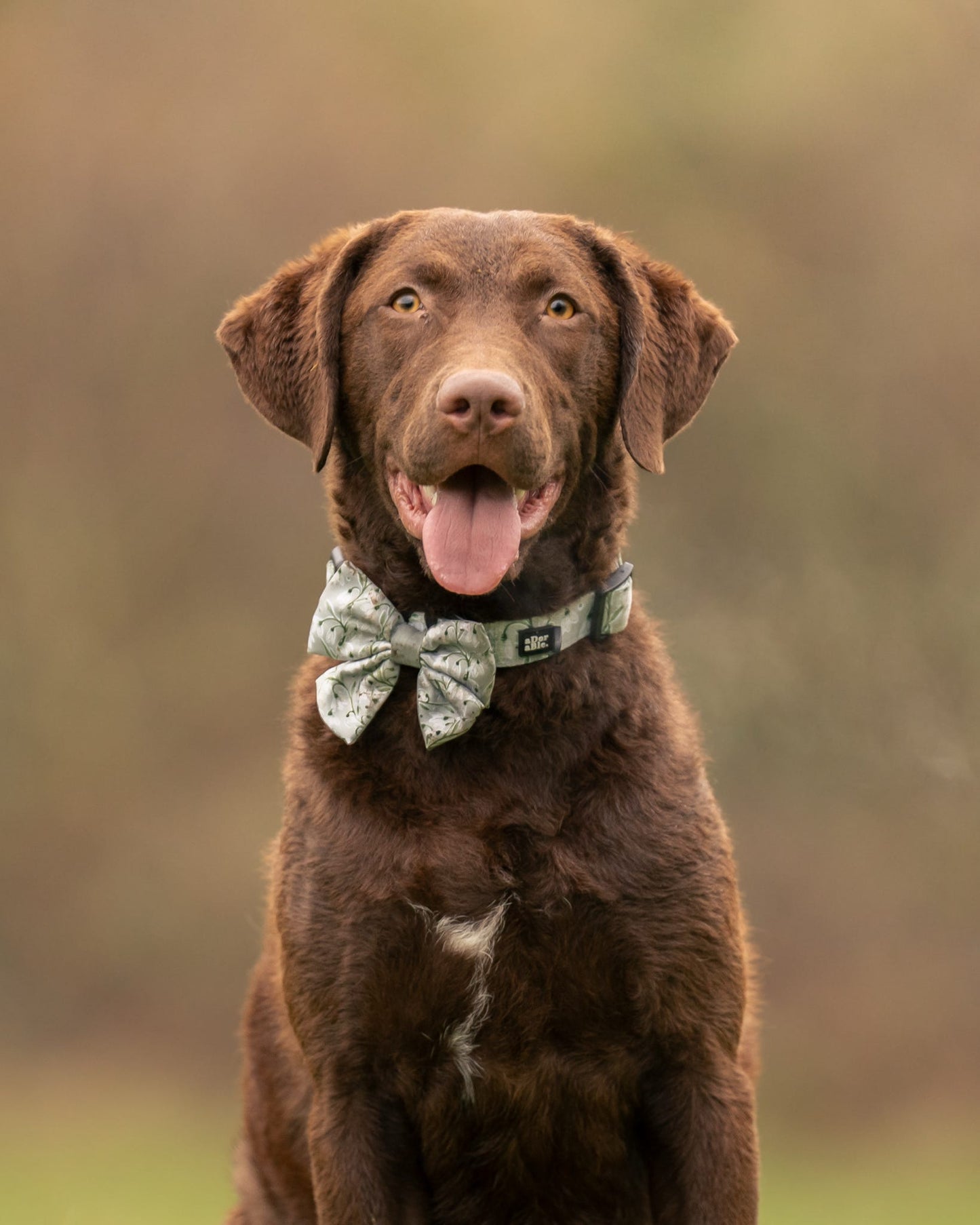 Dog Sailor Bow Tie - Silent Snowdrops