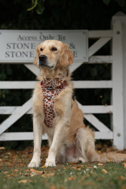 Hike & Go™ Harness - Pumpkin Farm