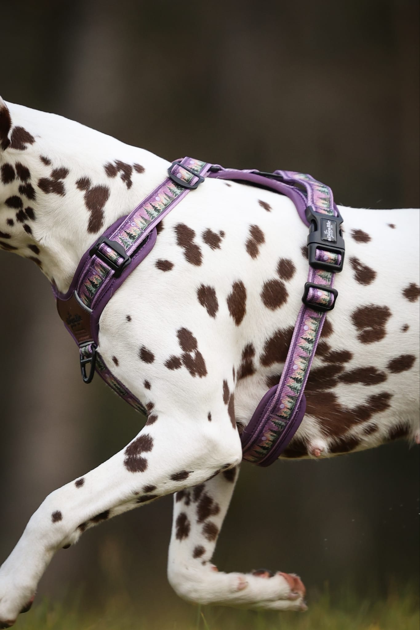 Streamline Pro™ Dog Harness - Moonlit Pines
