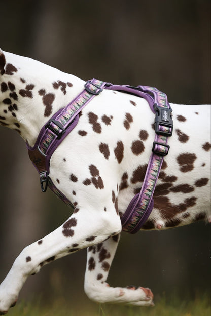 Streamline Pro™ Dog Harness - Moonlit Pines