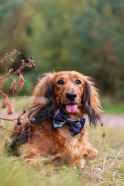 Bow Tie - Bramble Berry