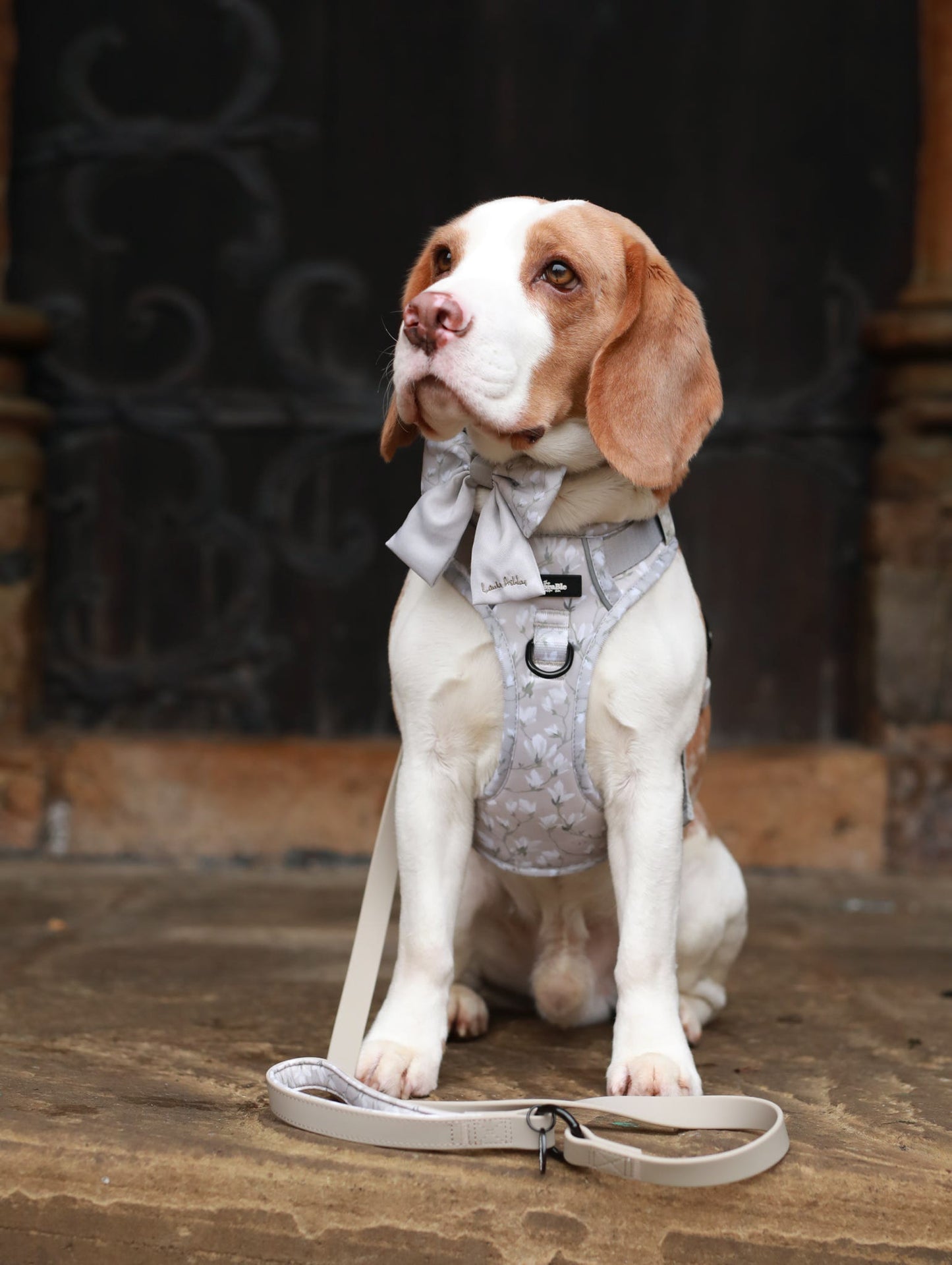 Laura Ashley Dog Harness - Magnolia Grove