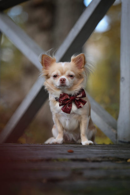 Sailor Bow Tie - Winter Fawn