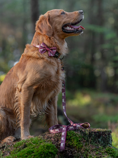 Sailor Bow Tie - Winter Fawn