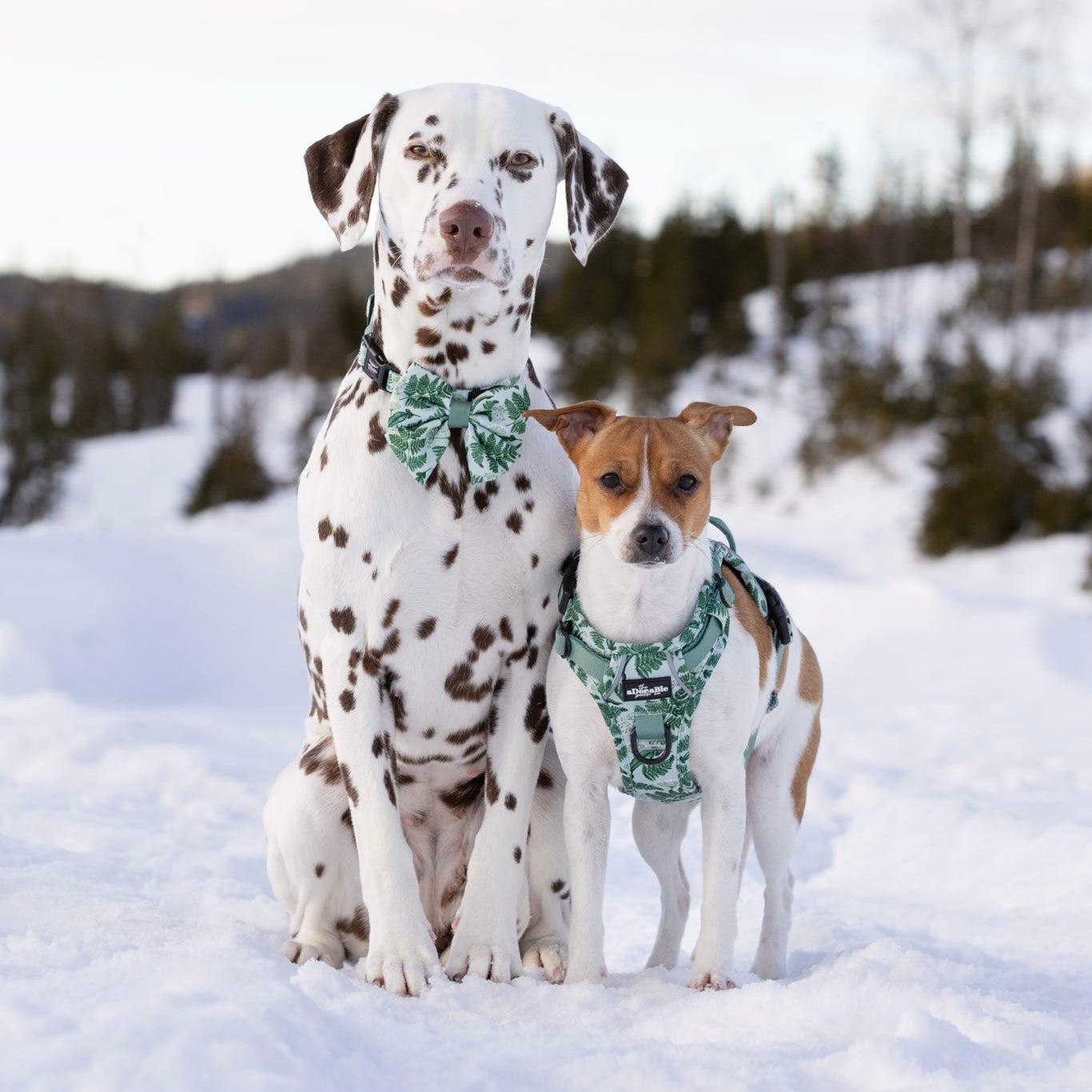 Hike & Go Lite™ Harness - Forest Of Ferns