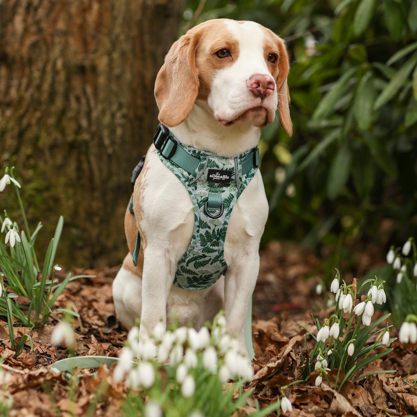 Hike & Go Lite™ Harness - Forest Of Ferns