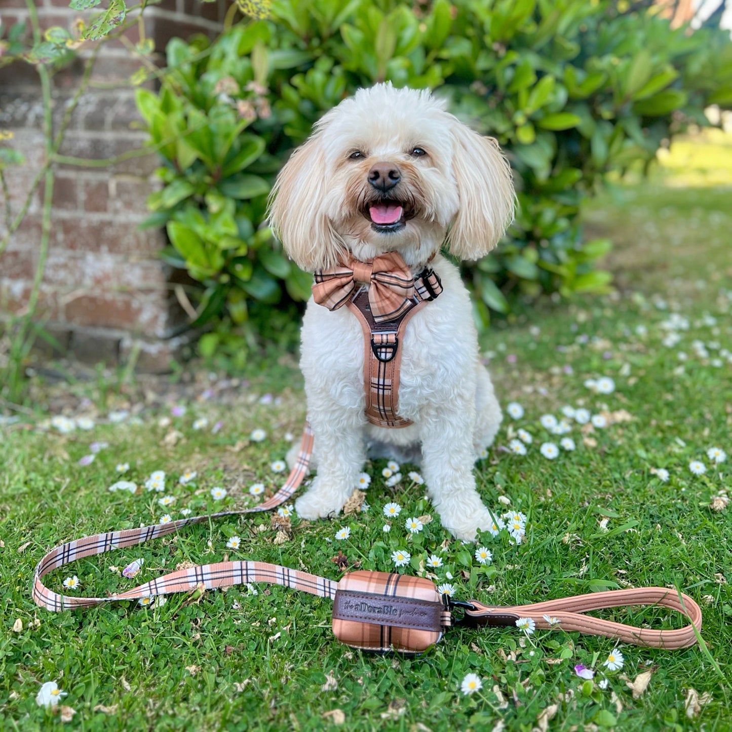 Streamline Pro™ Dog Harness - Heritage Collection - Butterscotch Biscuit