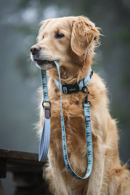 Collar - Daydream Heights