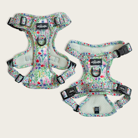 Hike & Go Lite™ Harness - Wildflower Meadow