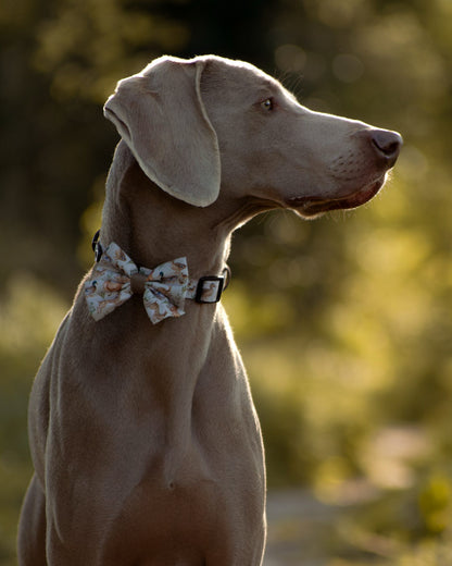 Dog Sailor Bow Tie - Cotswold Cottage