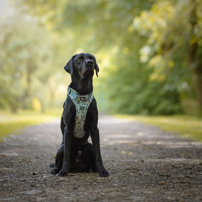 Hike & Go™ Harness - Countryside Hills