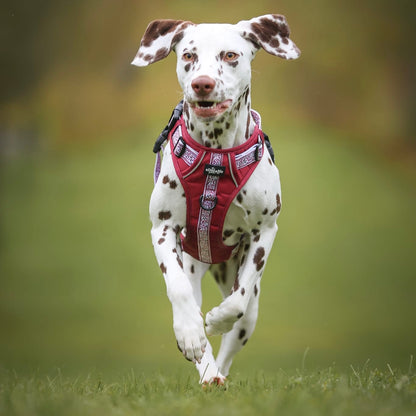 Hike & Go™ Harness - Cherrywood Ivy