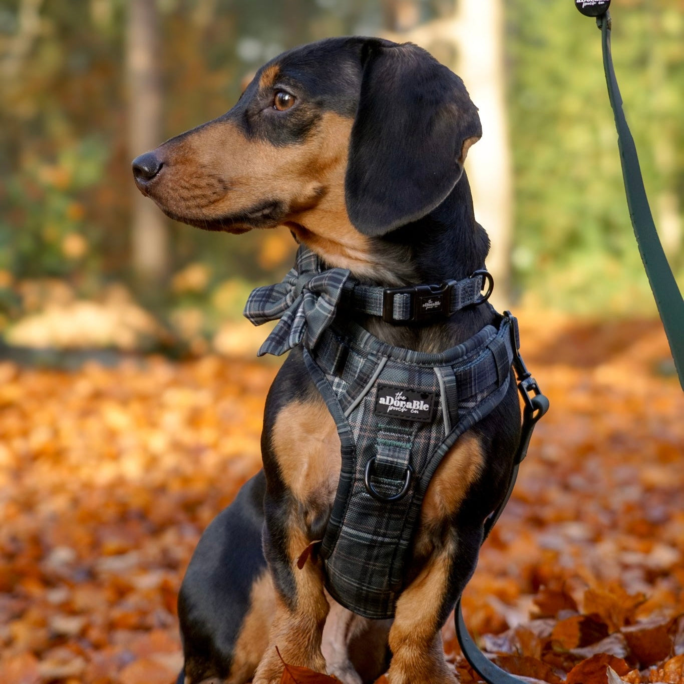 Hike & Go™ Harness - LUXE Hunter Green Plaid