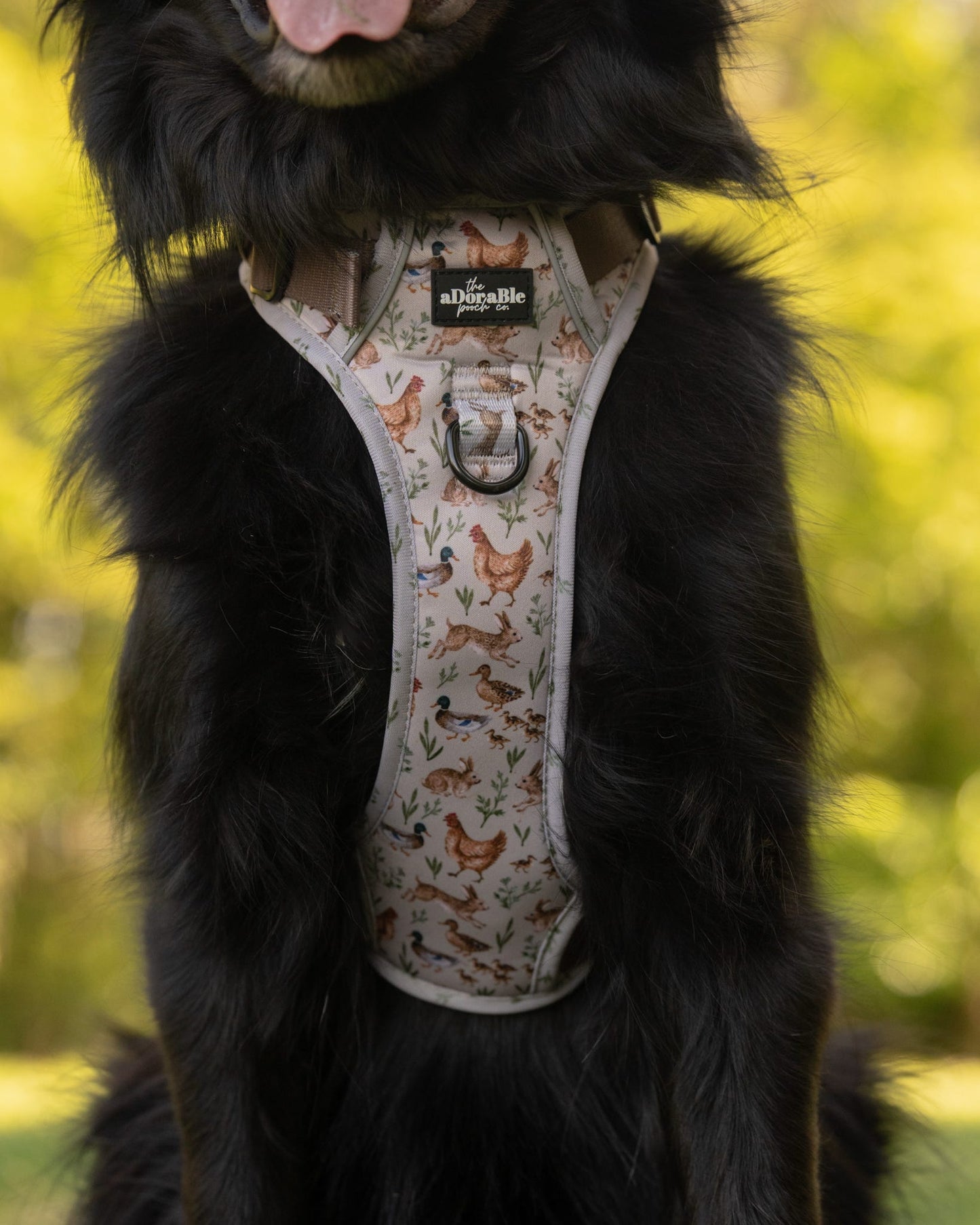 Hike & Go Lite™ Harness - Cotswold Cottage
