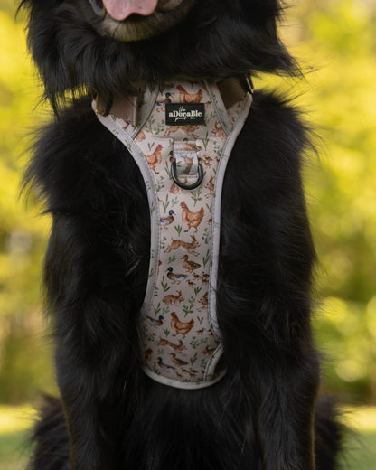 Hike & Go Lite™ Harness - Cotswold Cottage