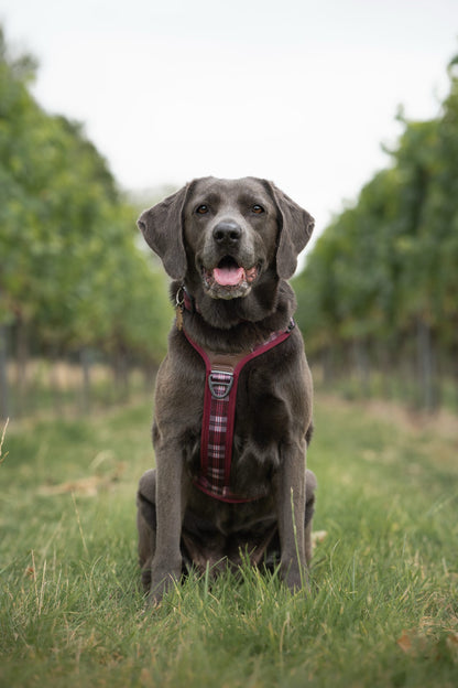 Streamline Pro™ Dog Harness - Heritage Collection - Merlot Manor