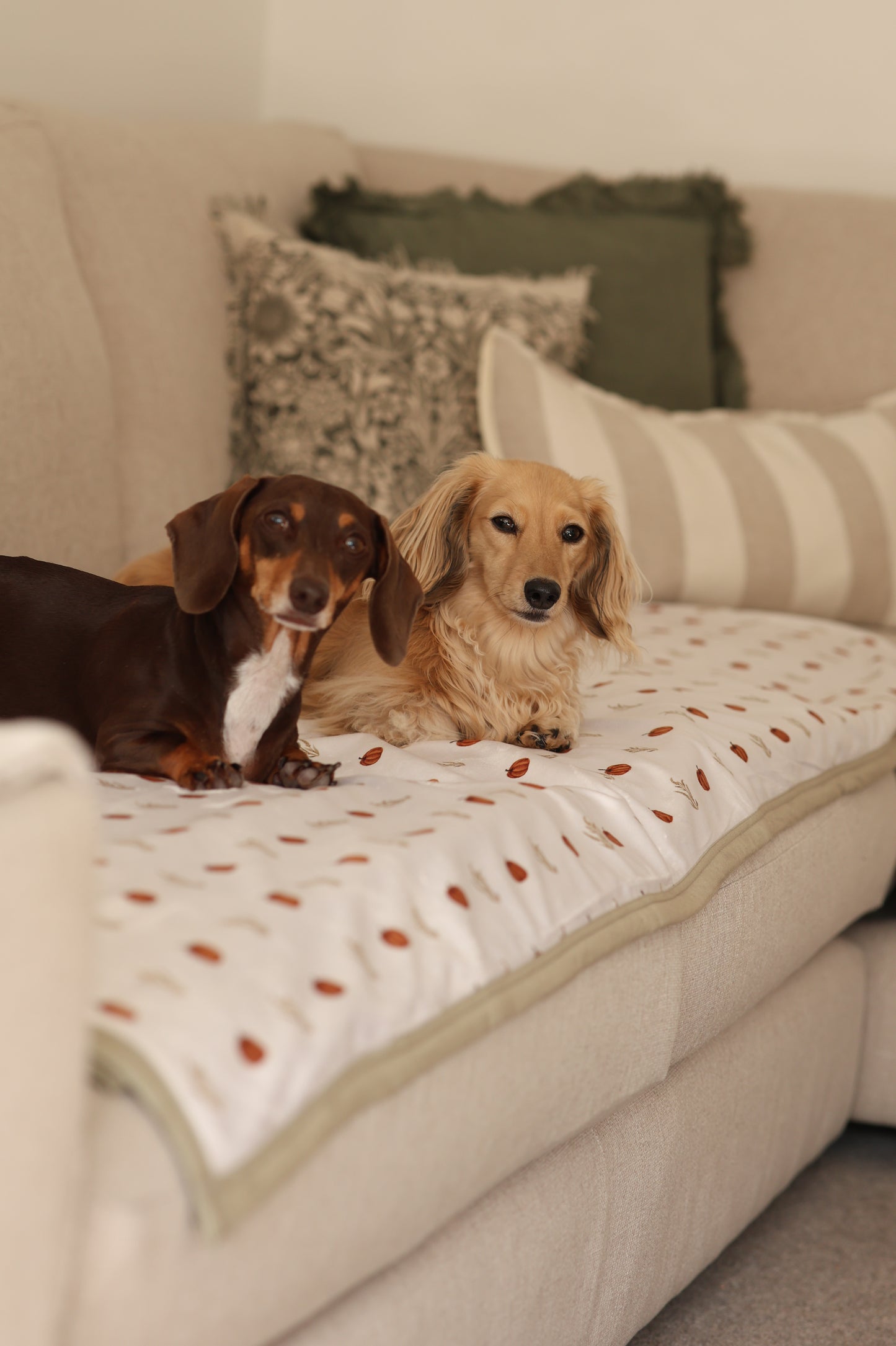 King Size Blanket - Pumpkin Farm