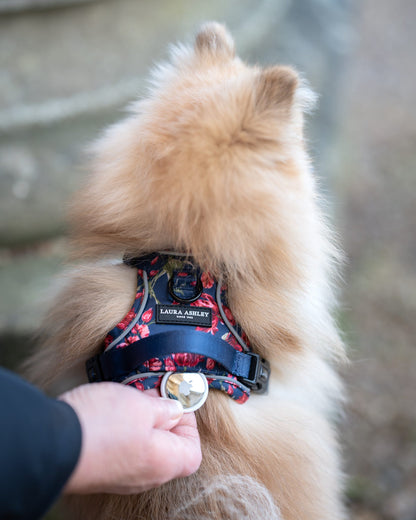 Laura Ashley Dog Harness - Gosford Meadow