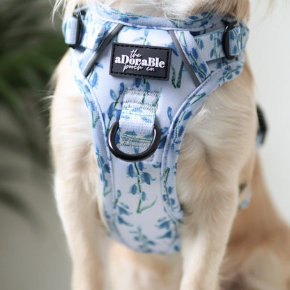 Hike & Go Lite™ Harness - Bluebell Bliss