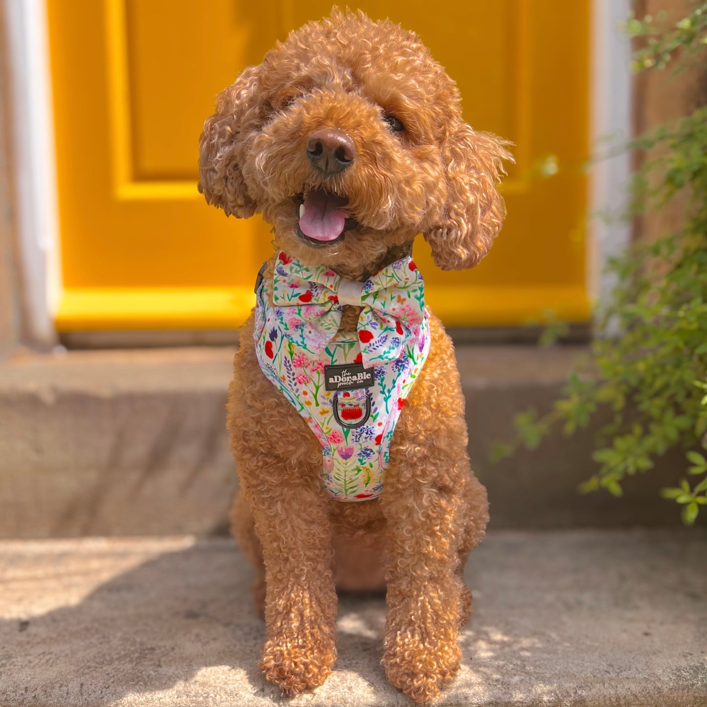 Sailor Bow Tie - Wildflower Meadow