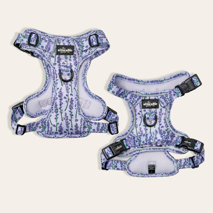 Hike & Go Lite™ Harness - Lavender Haze