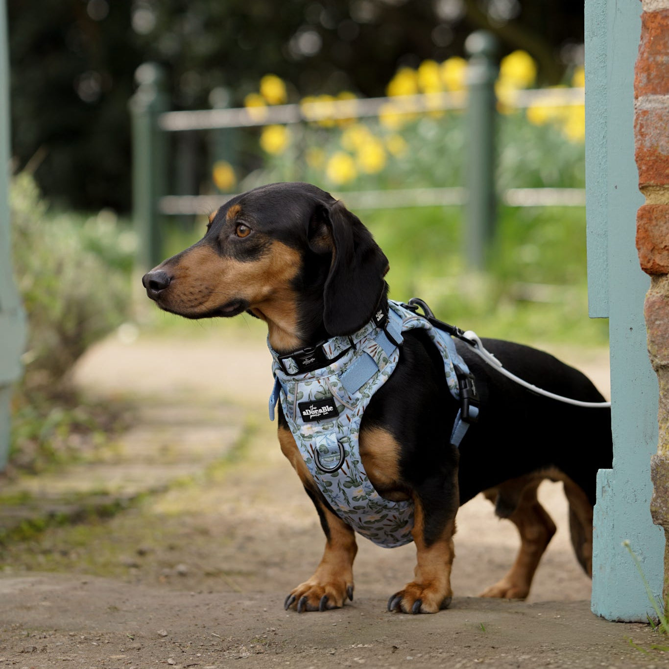 Hike & Go Lite™ Harness - Willow Waters