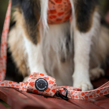 Poop Bag Holder - Pumpkin Harvest