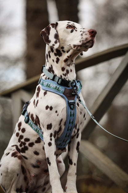 HydroFlex Lite™ Dog Collar - Sky Blue
