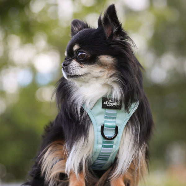 Hike & Go™ Harness - Hint Of Mint