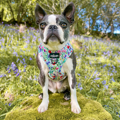 Adjustable Harness - Wildflower Meadow