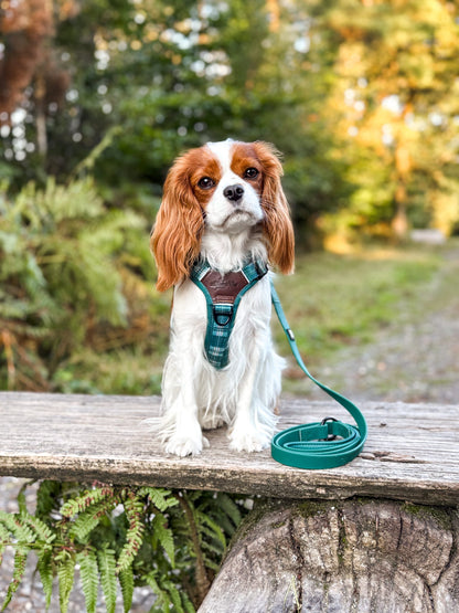 HydroFlex™ Waterproof Dog Lead - Pheasant Green