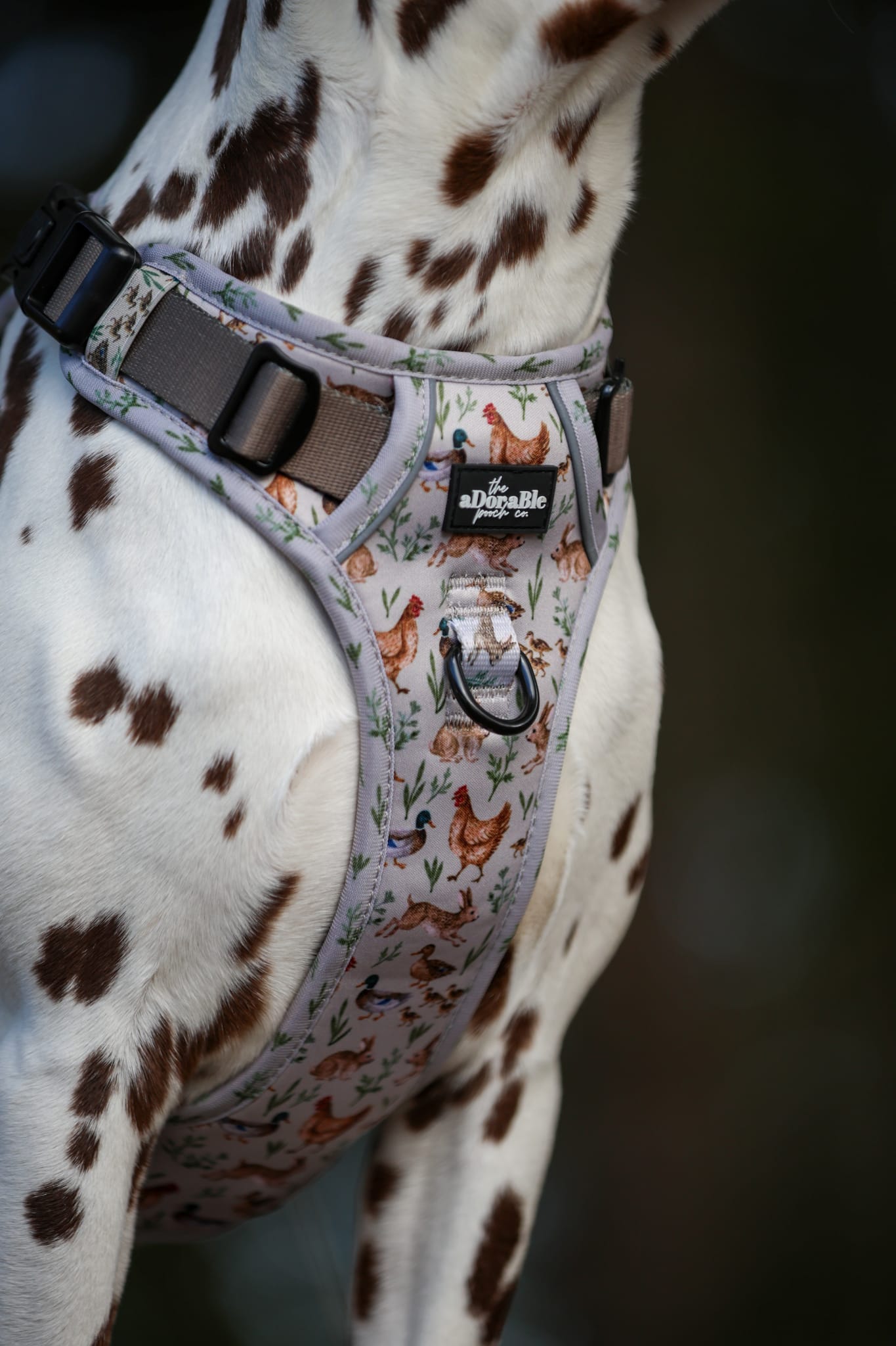Hike & Go Lite™ Harness - Cotswold Cottage
