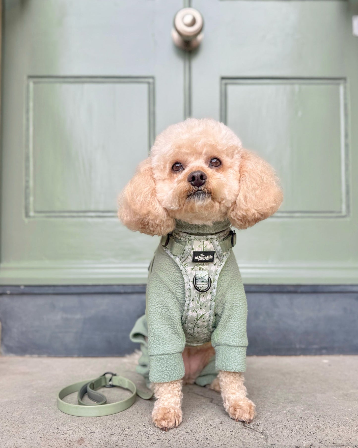 Hike & Go Lite™ Harness - Silent Snowdrops