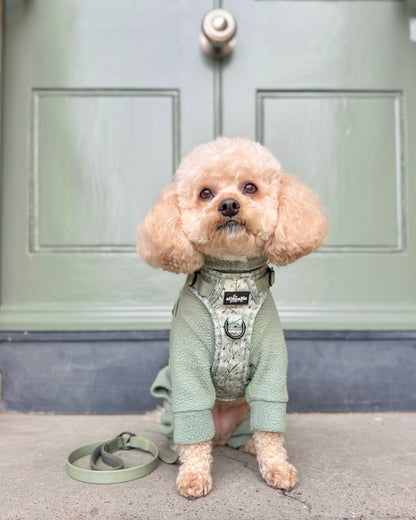 Hike & Go Lite™ Harness - Silent Snowdrops