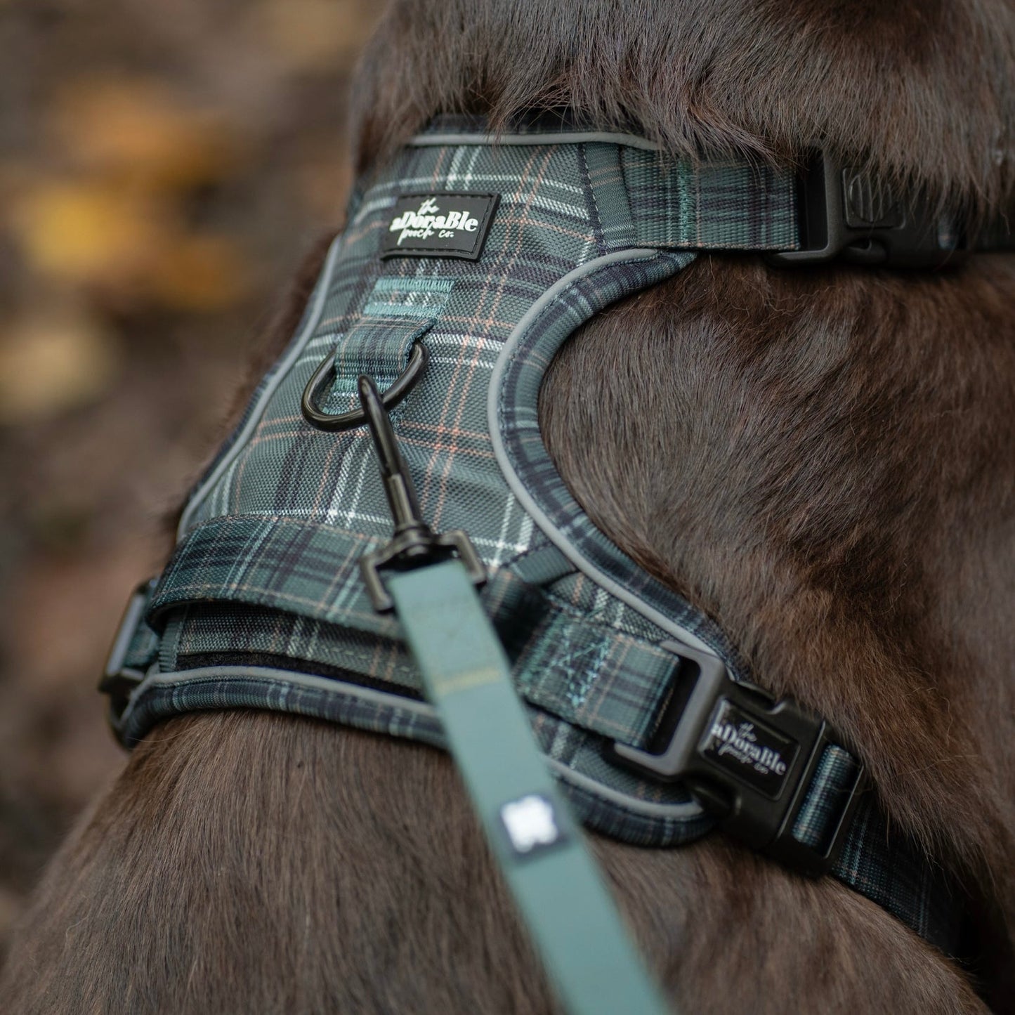 Hike & Go™ Harness - LUXE Hunter Green Plaid