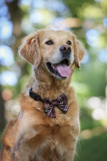 Heritage Sailor Bow Tie - Truffle Brown