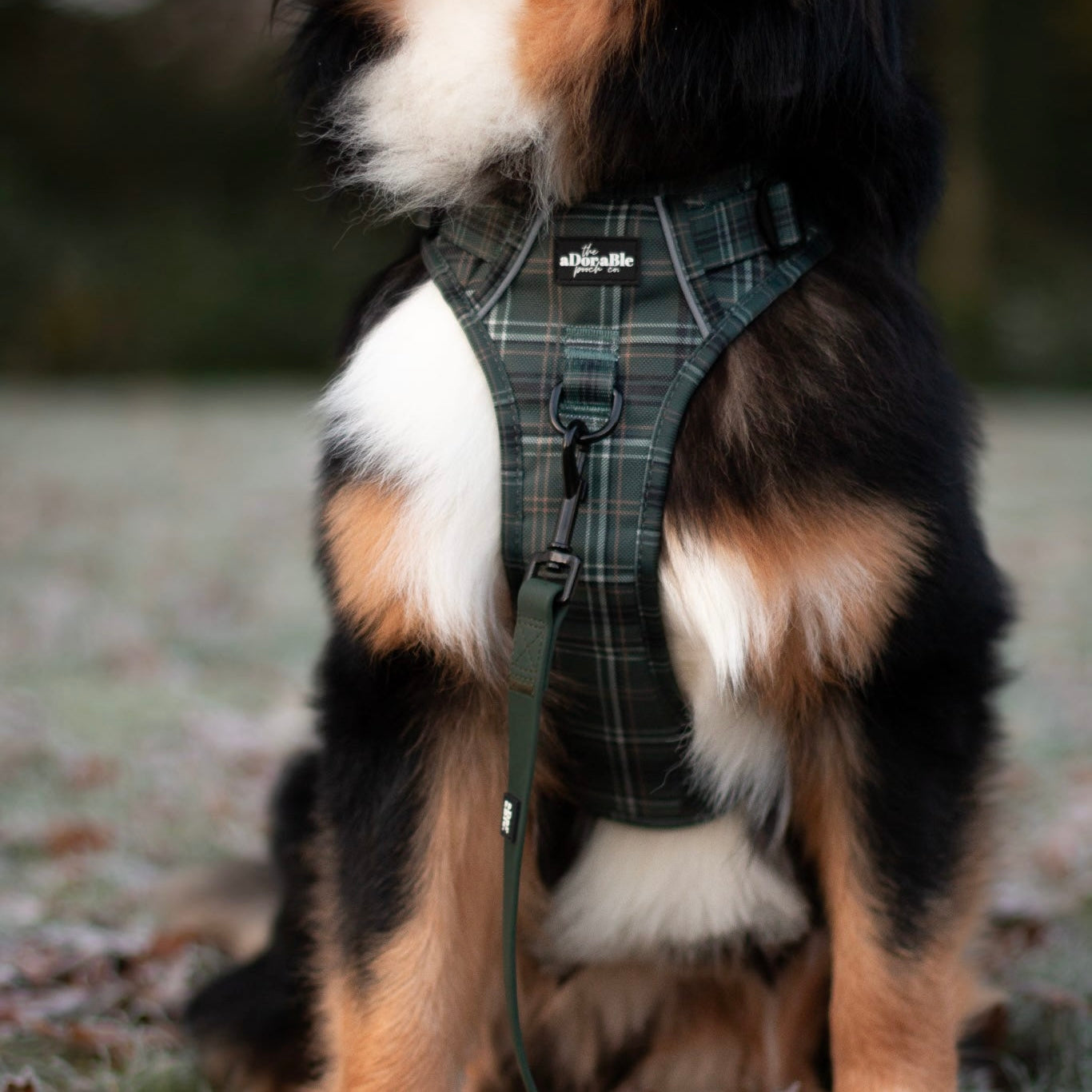 Hike & Go™ Harness - LUXE Hunter Green Plaid