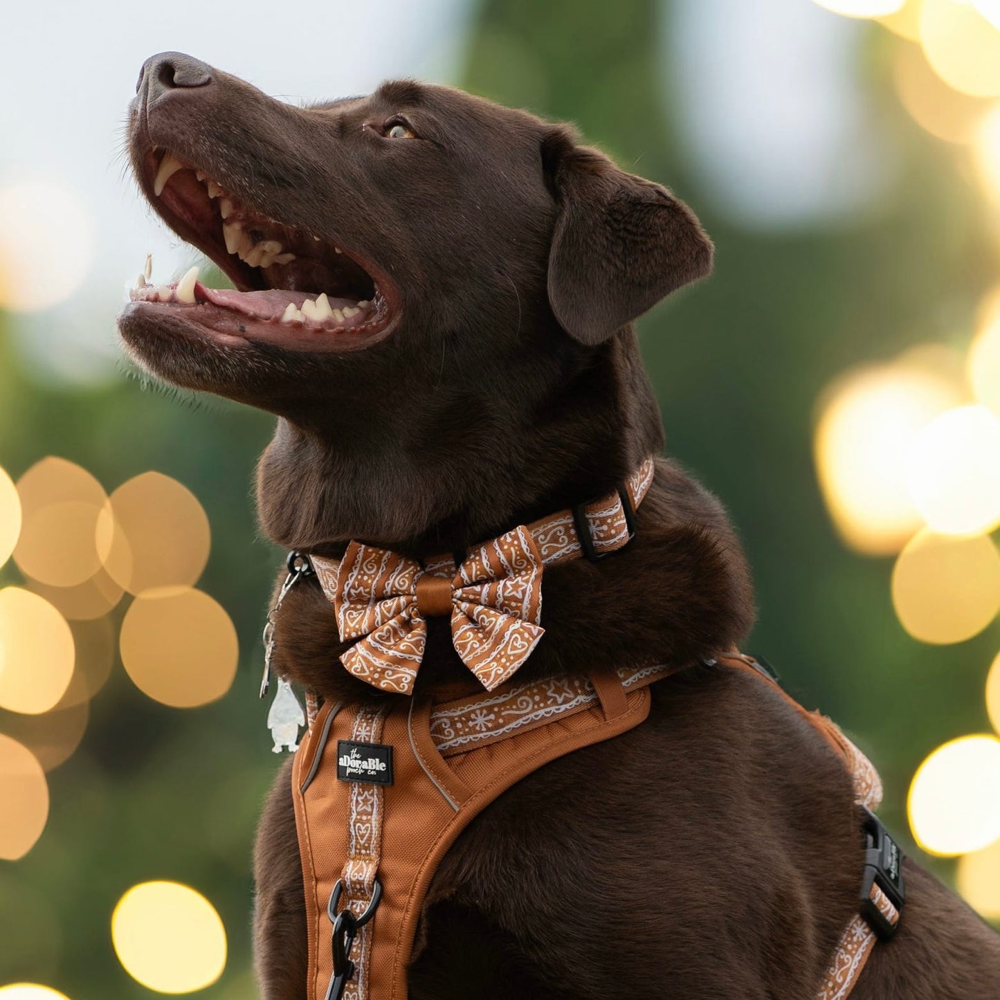 Sailor Bow Tie - Gingerbread Frosting