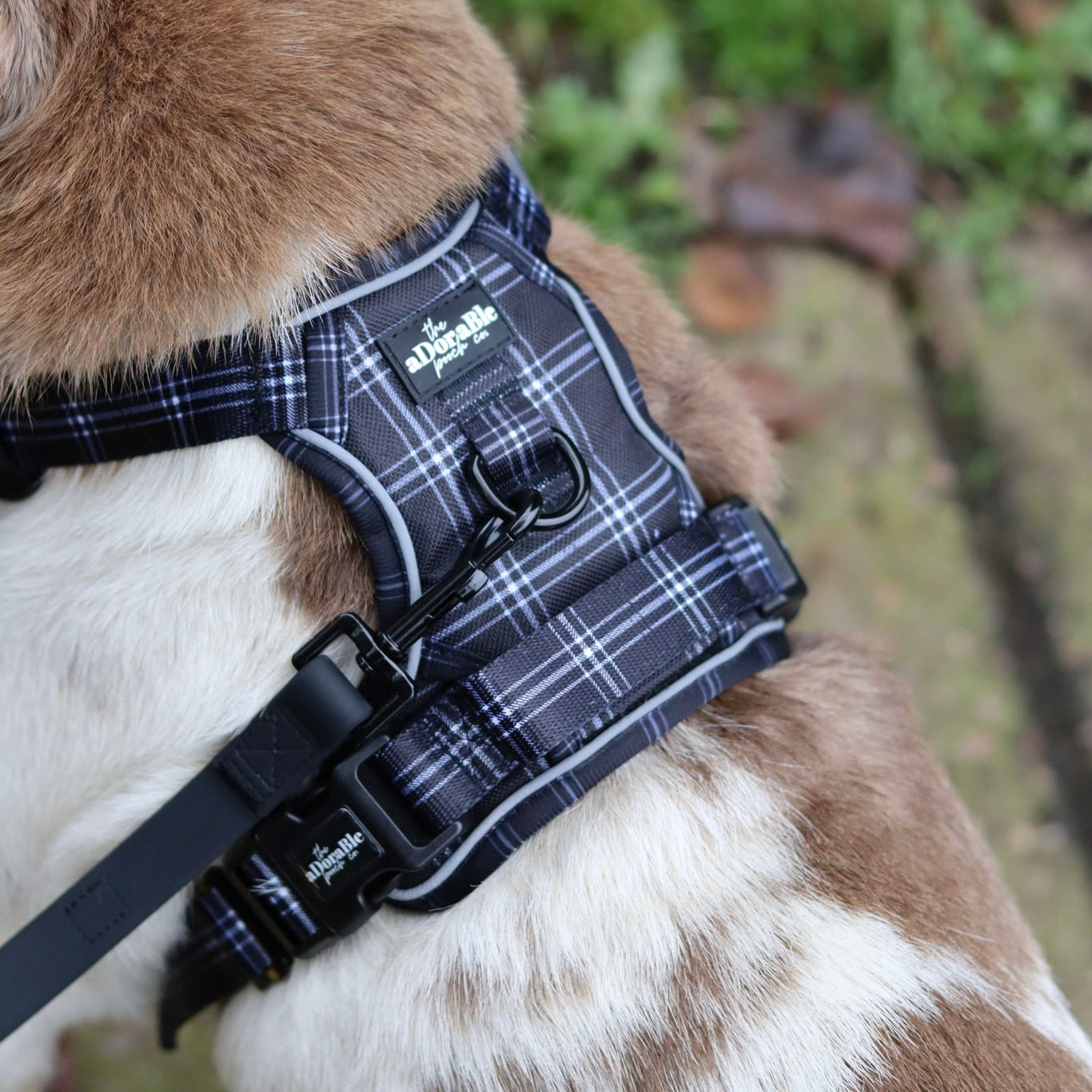 Hike & Go™ Harness - LUXE Noir Plaid