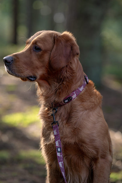 Collar - Winter Fawn