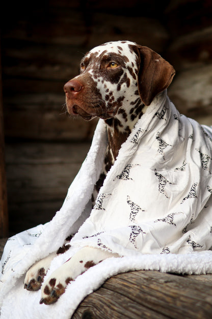 Supersize Soft Blanket - Watercolour Dalmatians