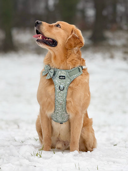 Hike & Go Lite™ Harness - Silent Snowdrops