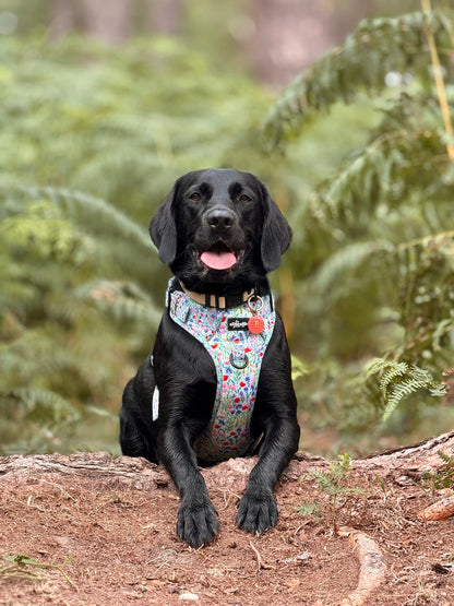 Hike & Go Lite™ Harness - Wildflower Meadow