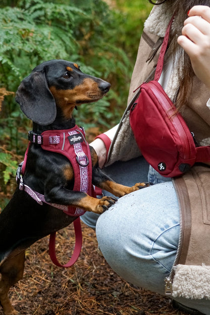 Slimline Everyday Bumbag - Dark Cherry Red