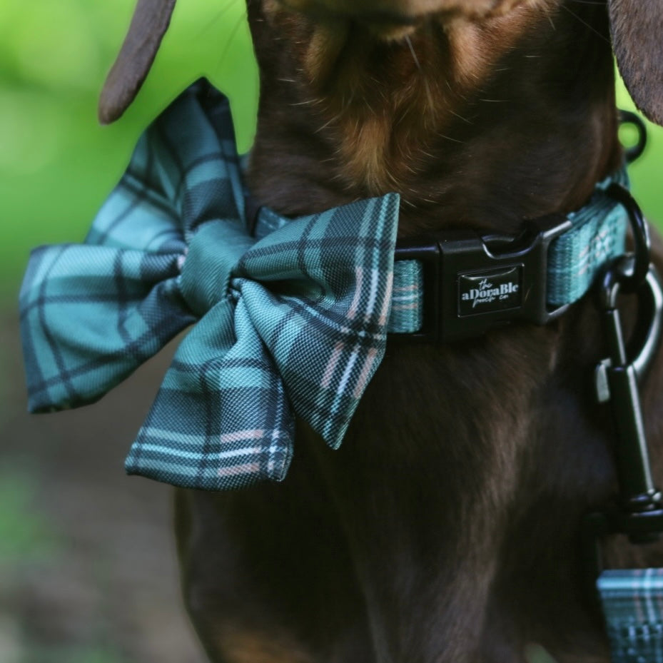 Heritage Collar - Pheasant Green