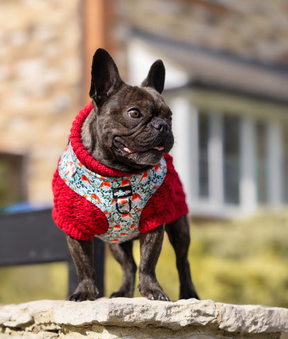 Hand Knitted Dachshund Jumper - Berry Red