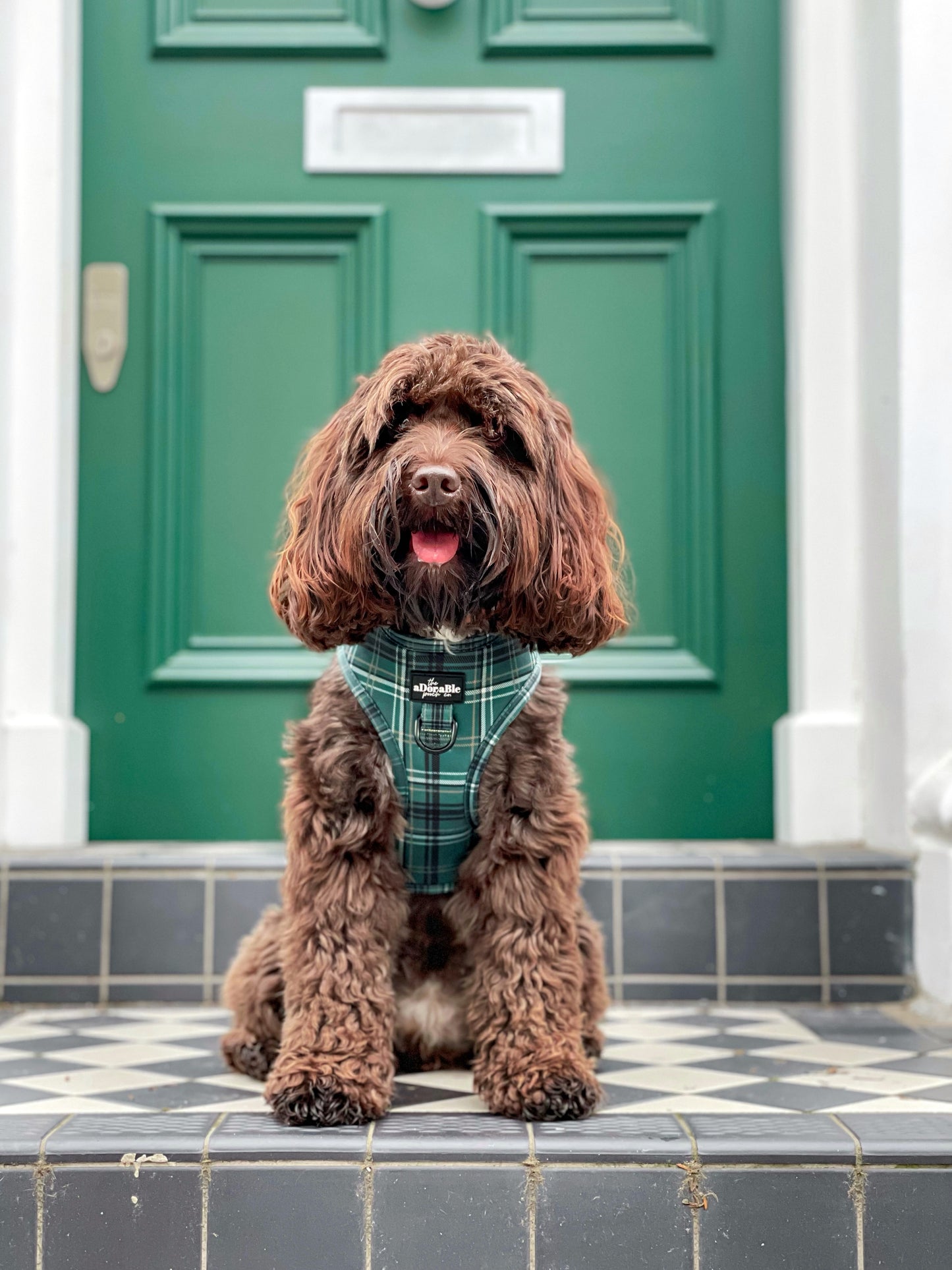Adjustable Harness - LUXE Hunter Green Plaid