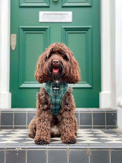 Adjustable Harness - LUXE Hunter Green Plaid