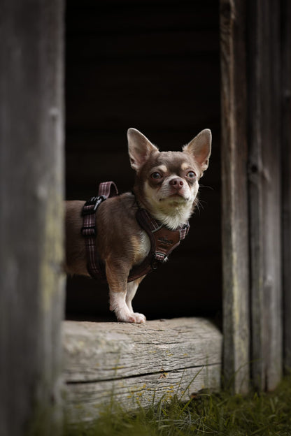 Streamline Pro™ Dog Harness - Heritage Collection - Truffle Brown