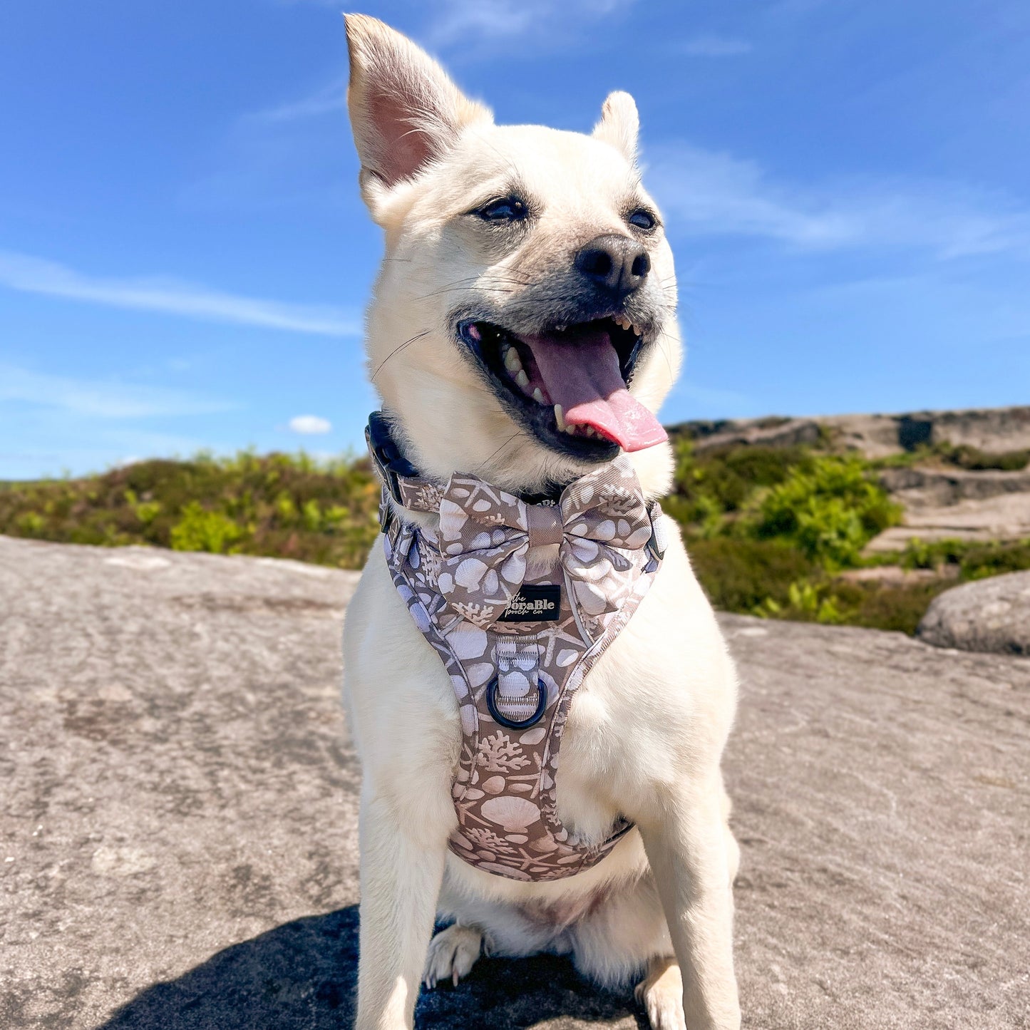 Hike & Go Lite™ Harness - Pebble Bay